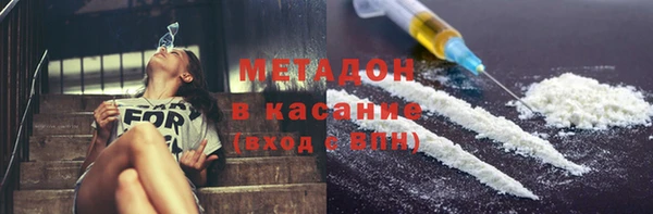 гашик Алексин