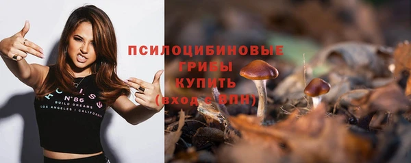 гашик Алексин