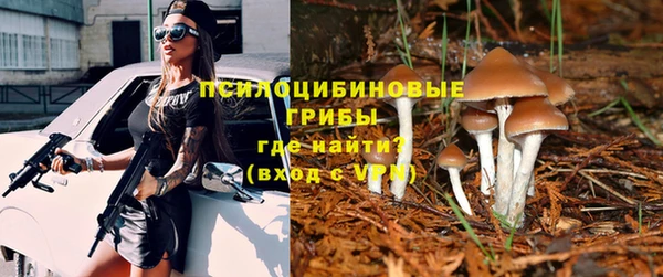 СК Алексеевка