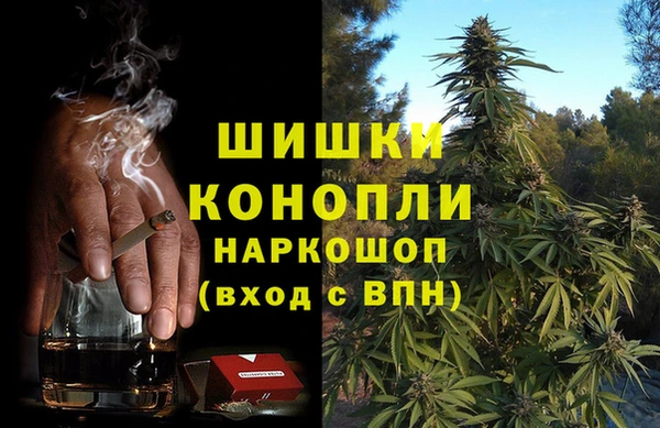 гашик Алексин