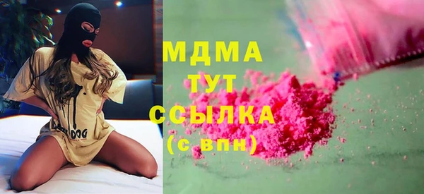 гашик Алексин
