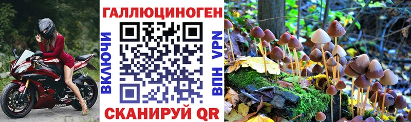 Галлюциногенные грибы Psilocybine cubensis  как найти закладки  hydra зеркало  Кулебаки 